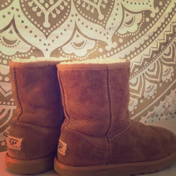 UGG Shoes - Ugg ankle high boots